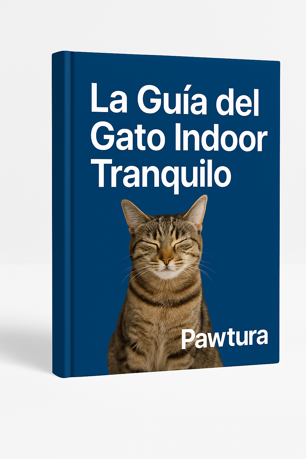 Guía del Gato Indoor Tranquilo