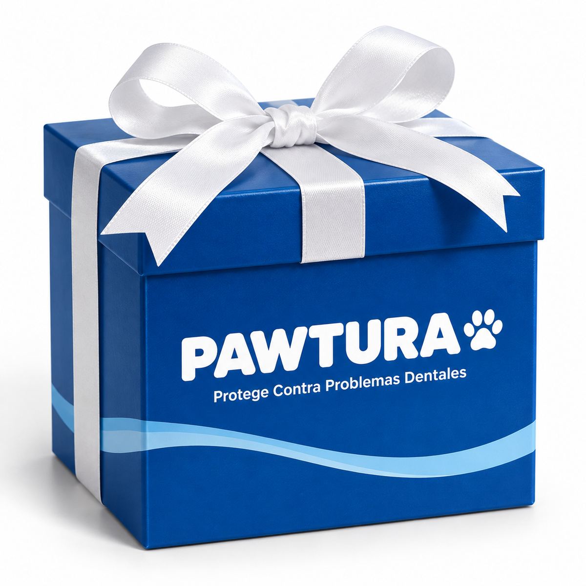 Regalo Sorpresa Exclusivo